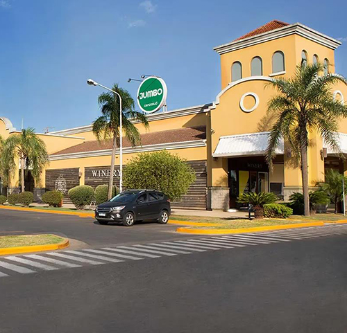 SHOPPING PALMAS DEL PILAR