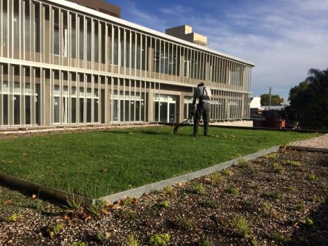 COLEGIO DE ARQUITECTOS DE BUENOS AIRES