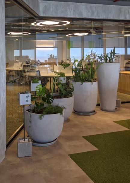 GLOBANT ONE CATALINAS (PISOS 25 A 27)