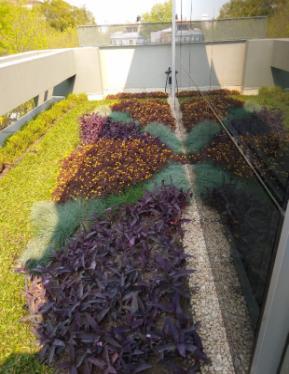 Soluciones Informáticas Integrales S.A