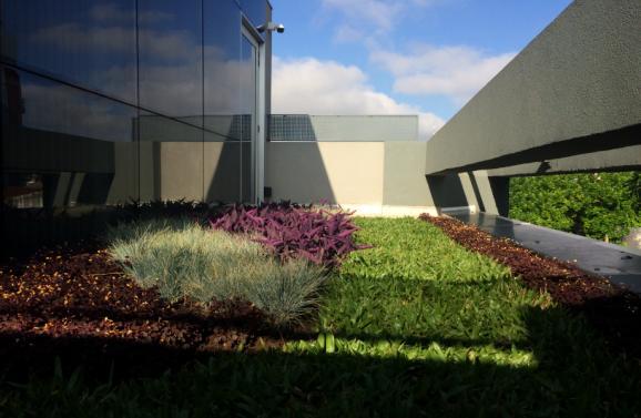 Soluciones Informáticas Integrales S.A