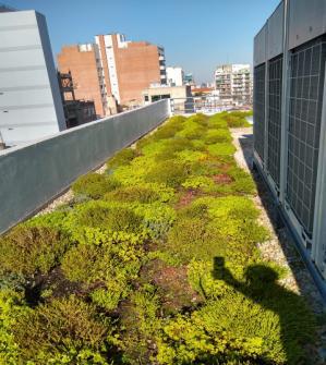 Imagen Cátulo Castillo II 2